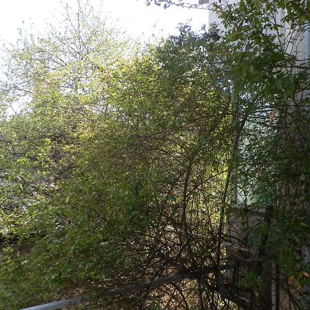 Silver House Varna Ngoại thất bức ảnh
