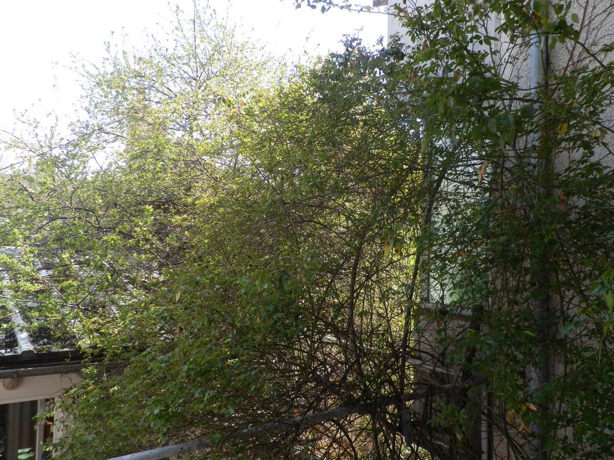 Silver House Varna Ngoại thất bức ảnh